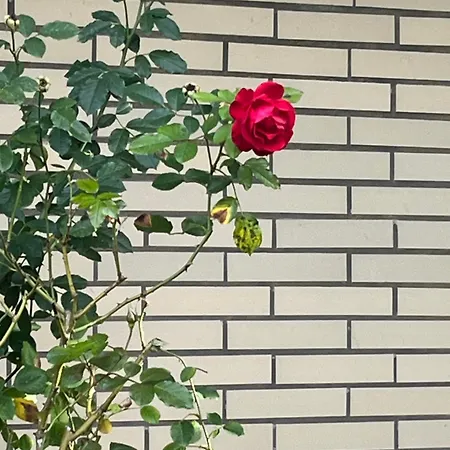 Stylish Vintage House Near Frankfurt * Eschborn